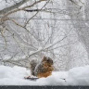 Meet your Posher, Debra